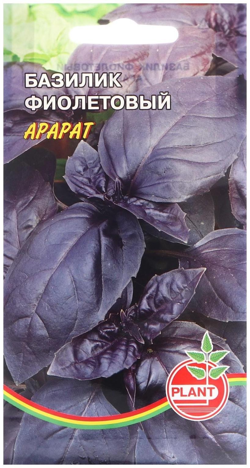 Семена Базилик 