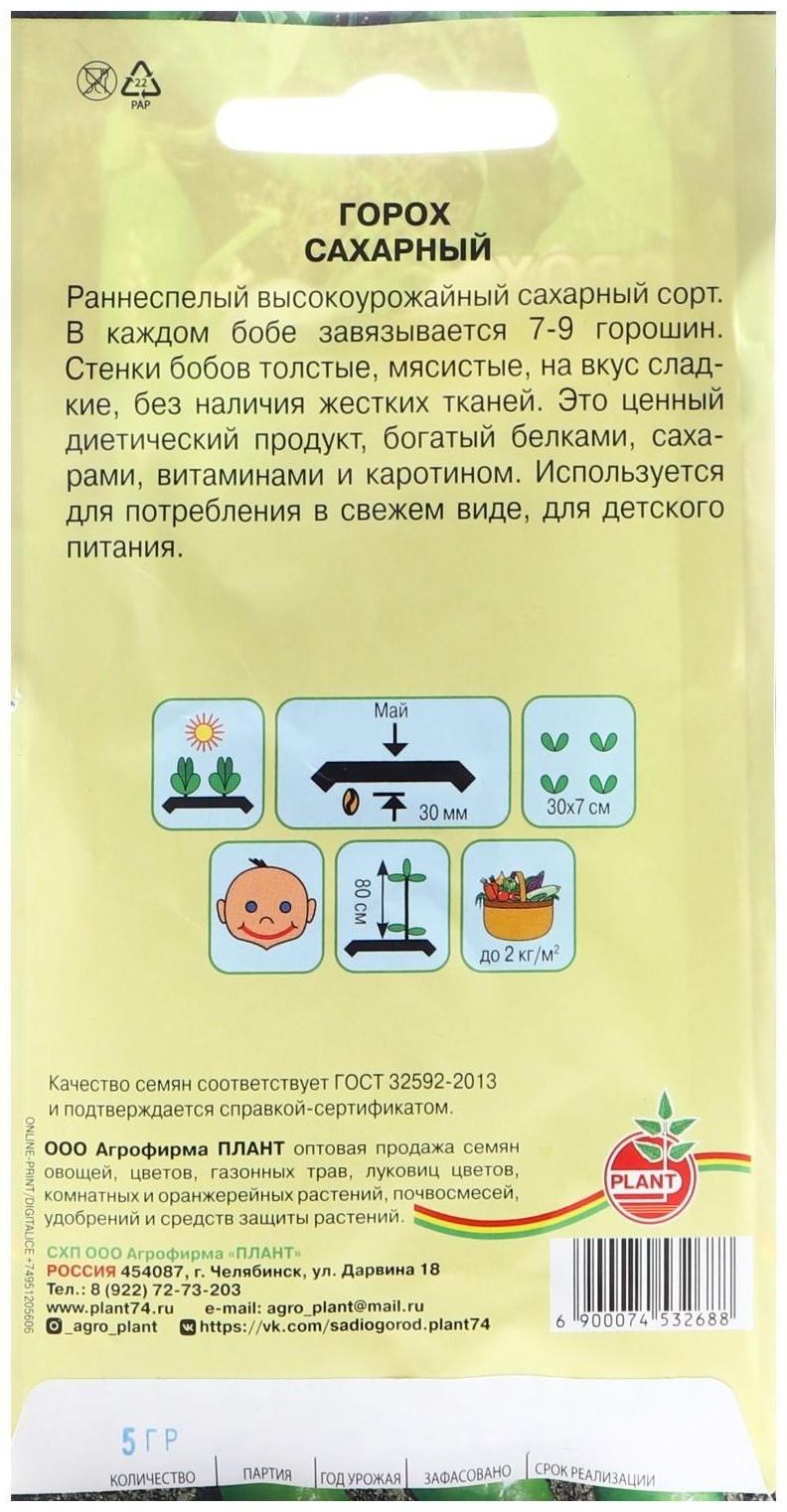 Семена Горох 