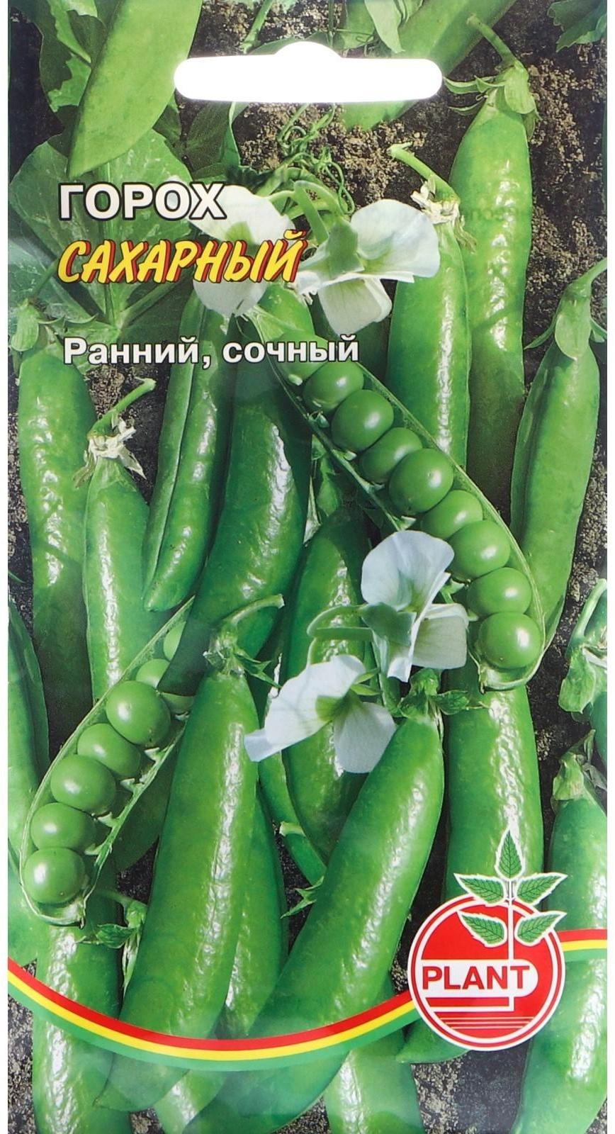 Семена Горох 