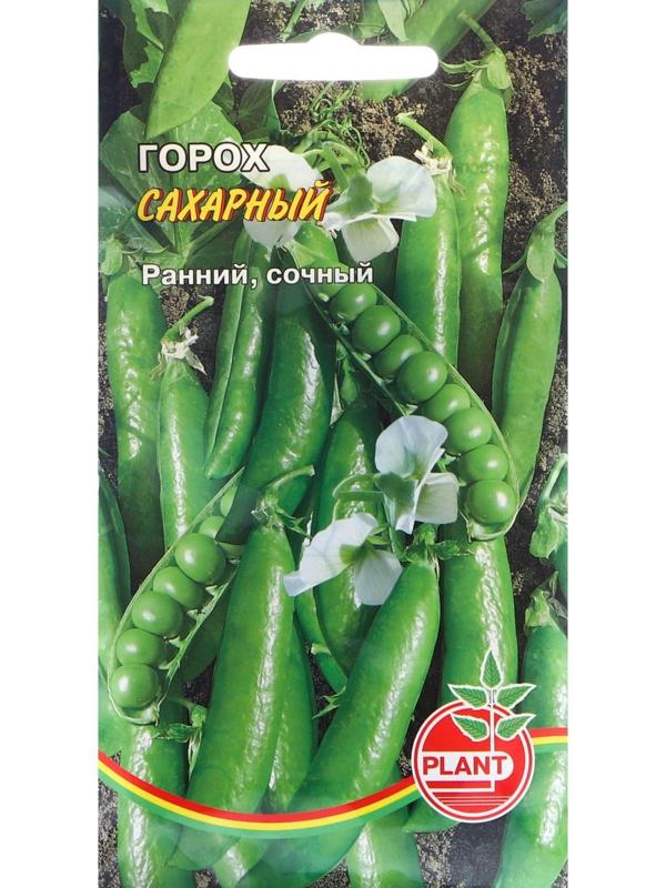 Семена Горох 