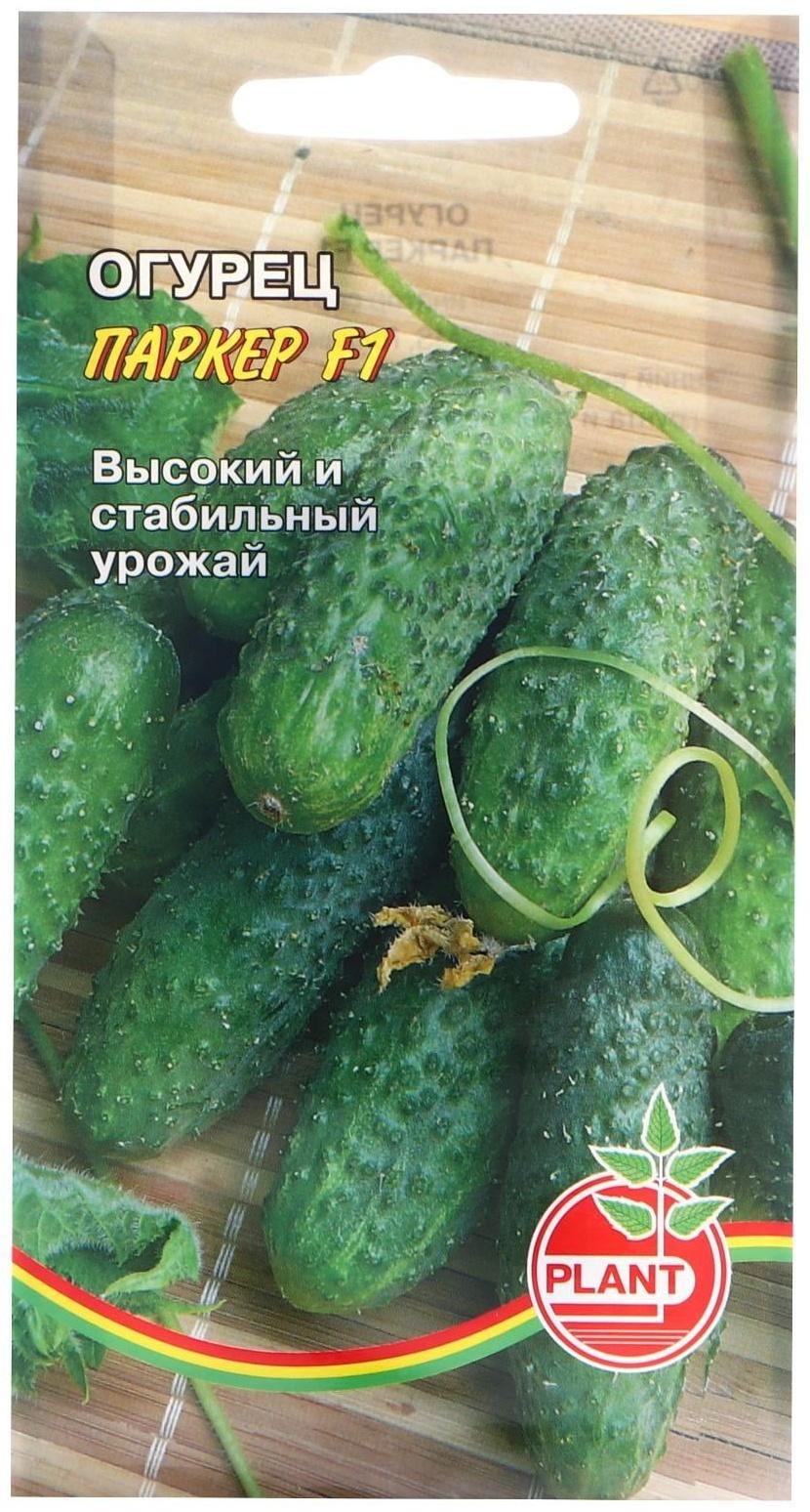 Семена Огурец 