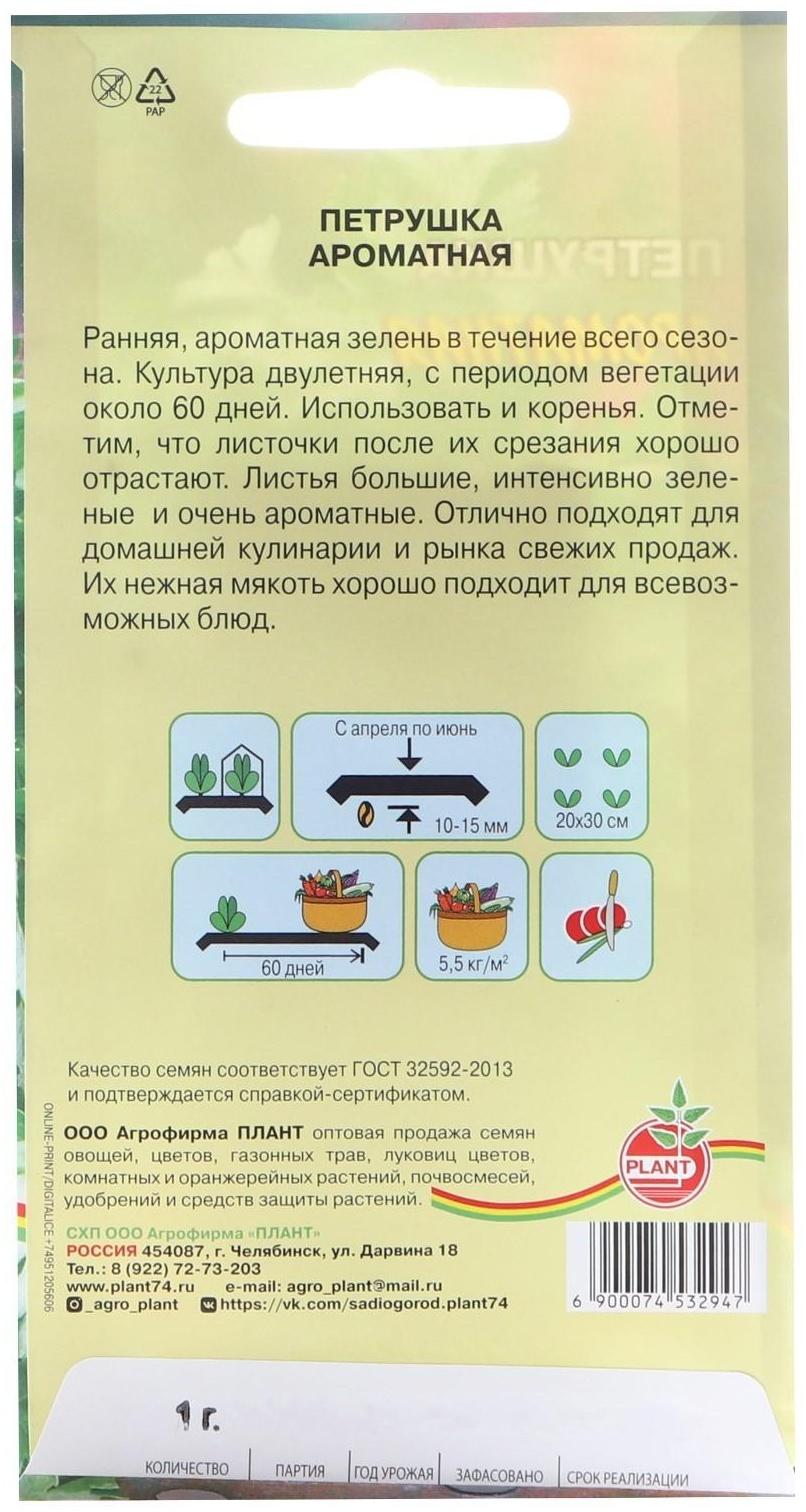 Семена Петрушка 