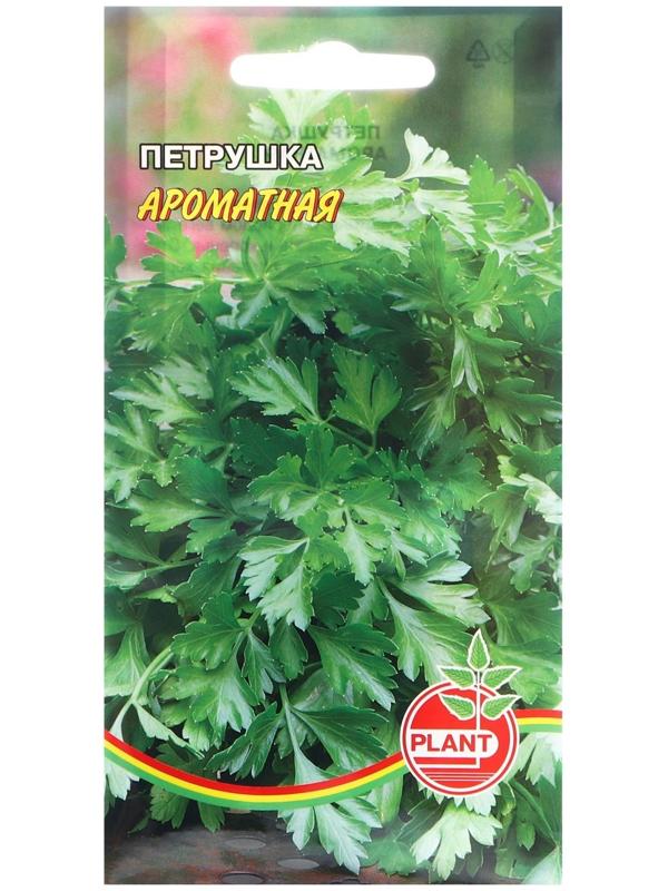 Семена Петрушка 