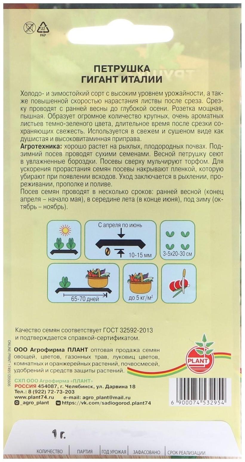 Семена Петрушка 