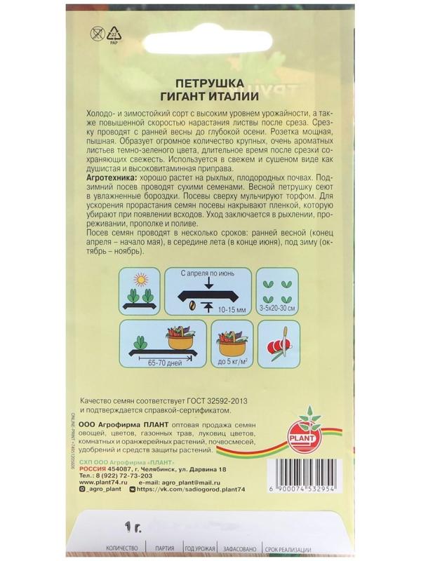 Семена Петрушка 