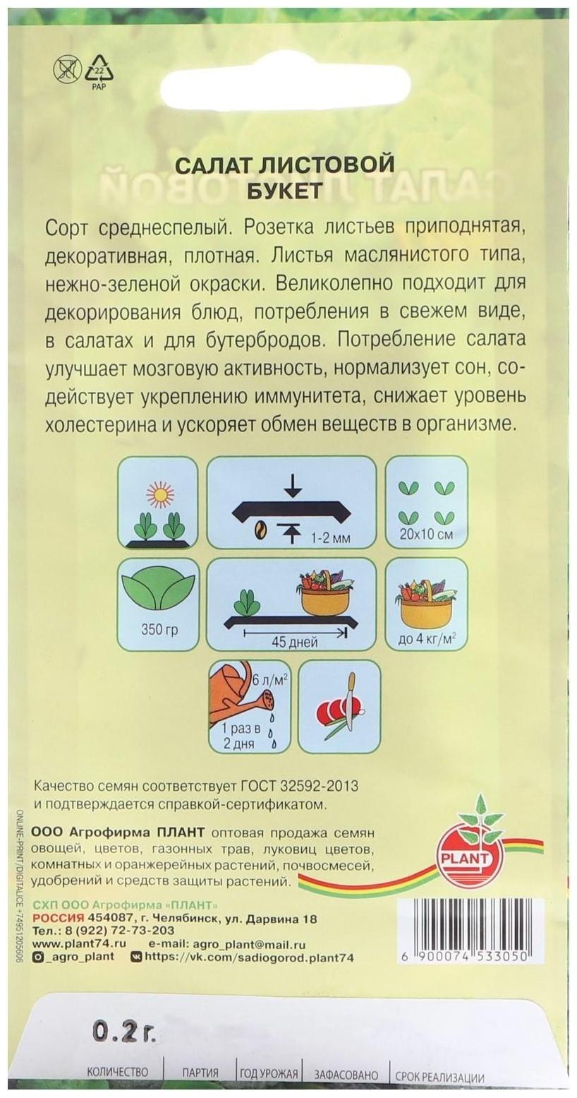 Семена Салат 