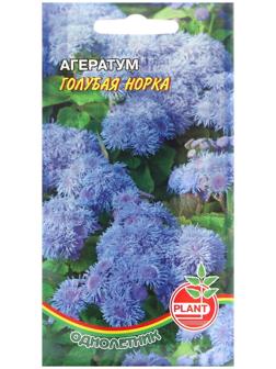 Семена цветов Агератум 