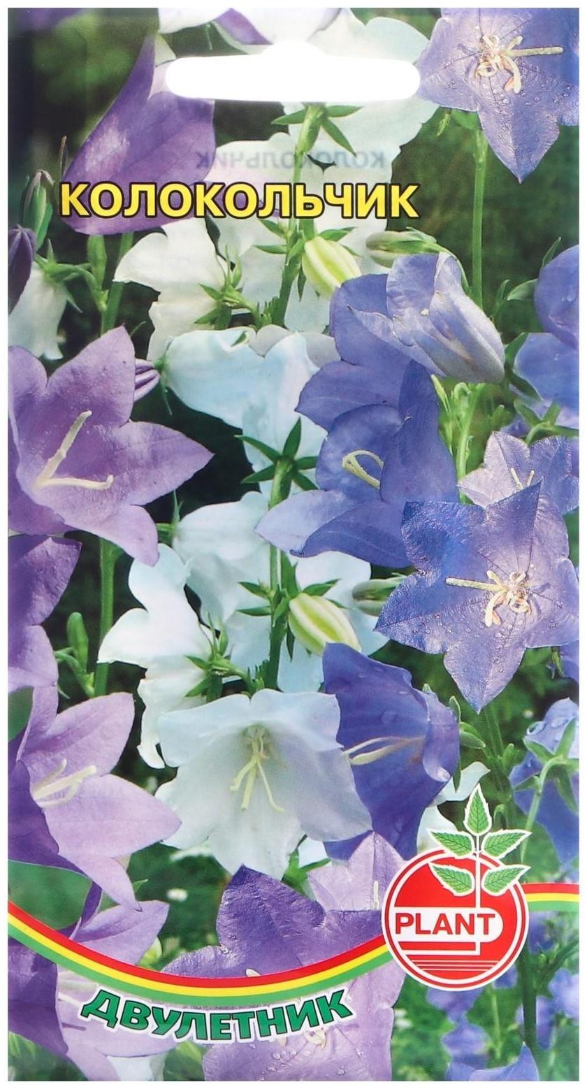 Семена цветов Колокольчик Двулетик, 0,03 г