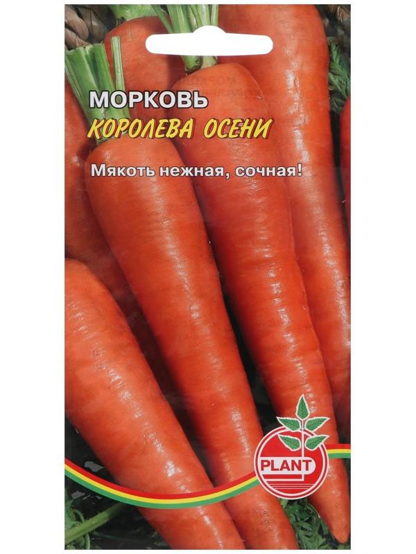 Семена Морковь 