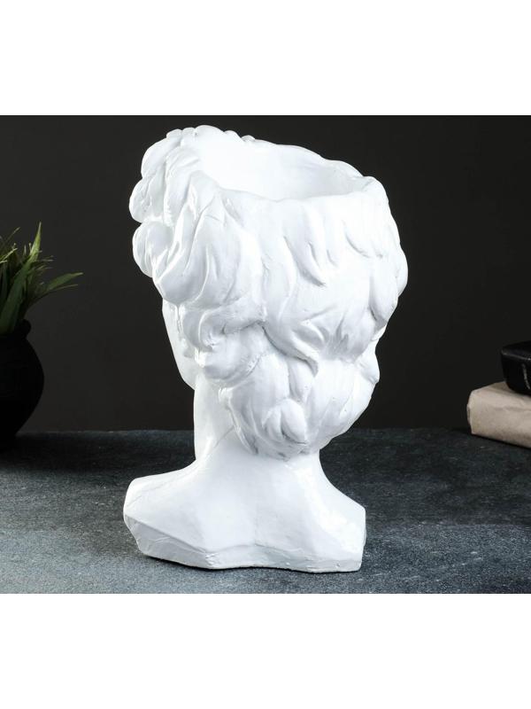 Кашпо - органайзер 