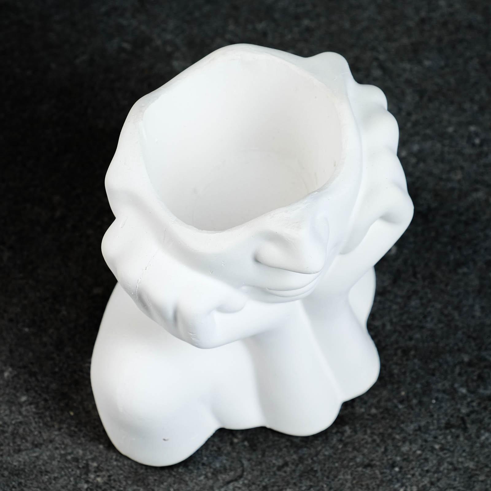 Кашпо - органайзер 