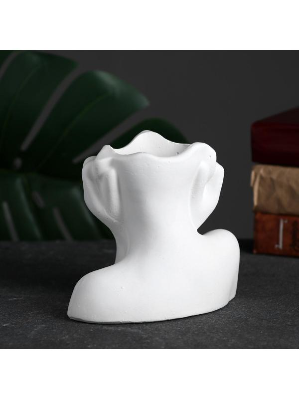 Кашпо - органайзер 