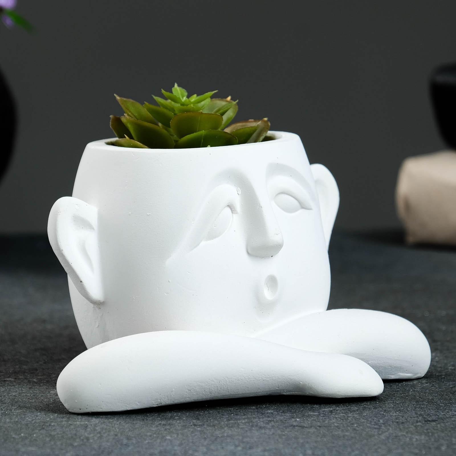 Кашпо - органайзер 