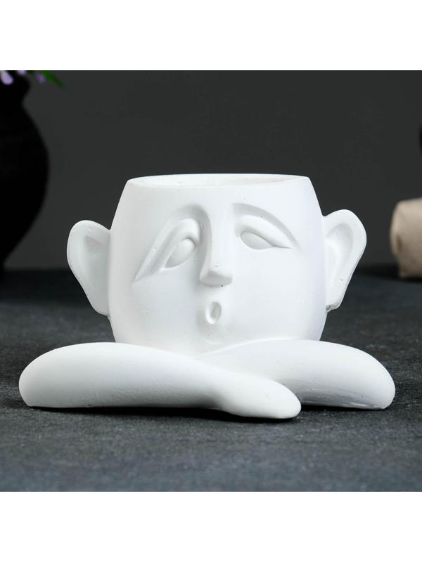 Кашпо - органайзер 