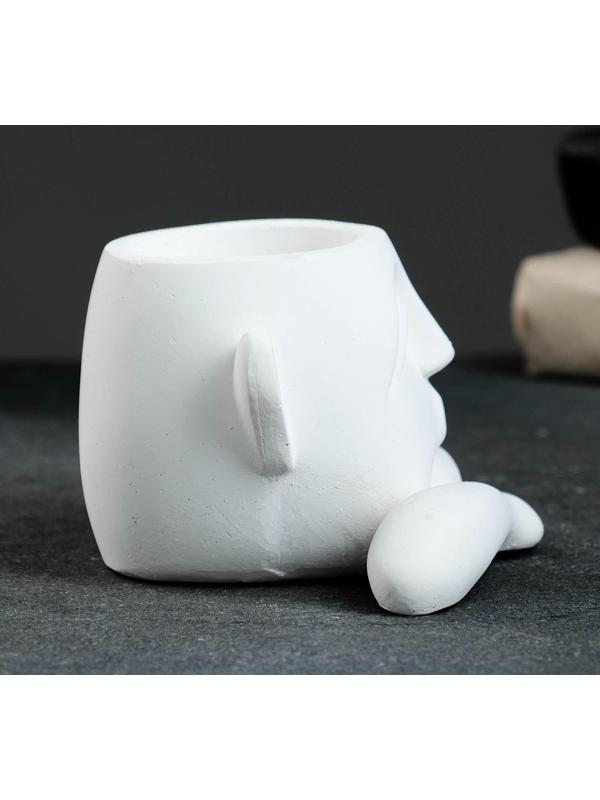 Кашпо - органайзер 