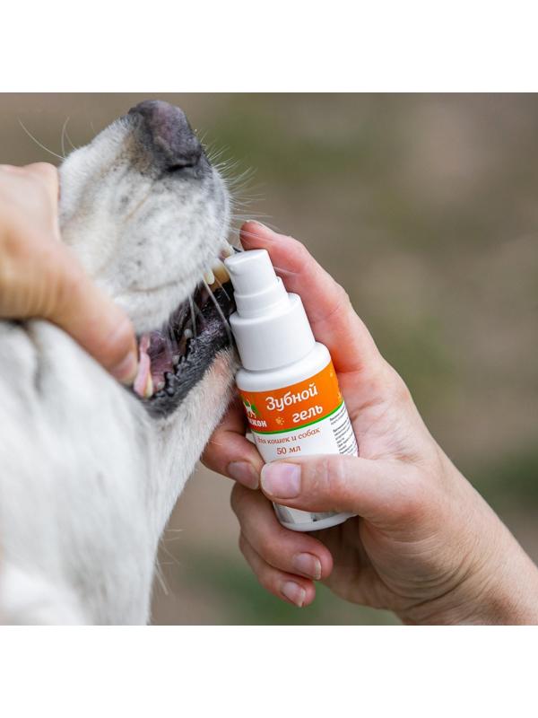 Зубной гель 