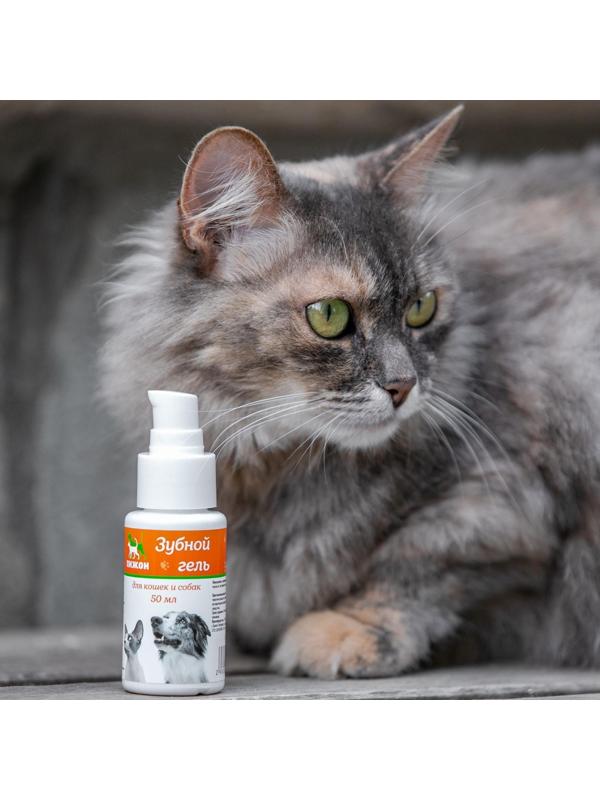 Зубной гель 