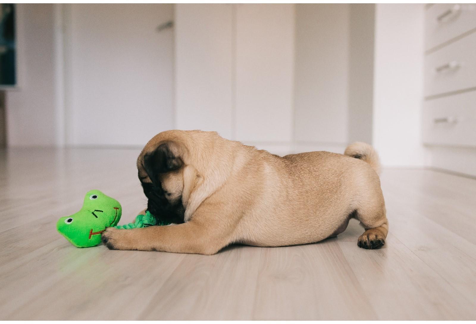 Игрушка мягкая для собак 