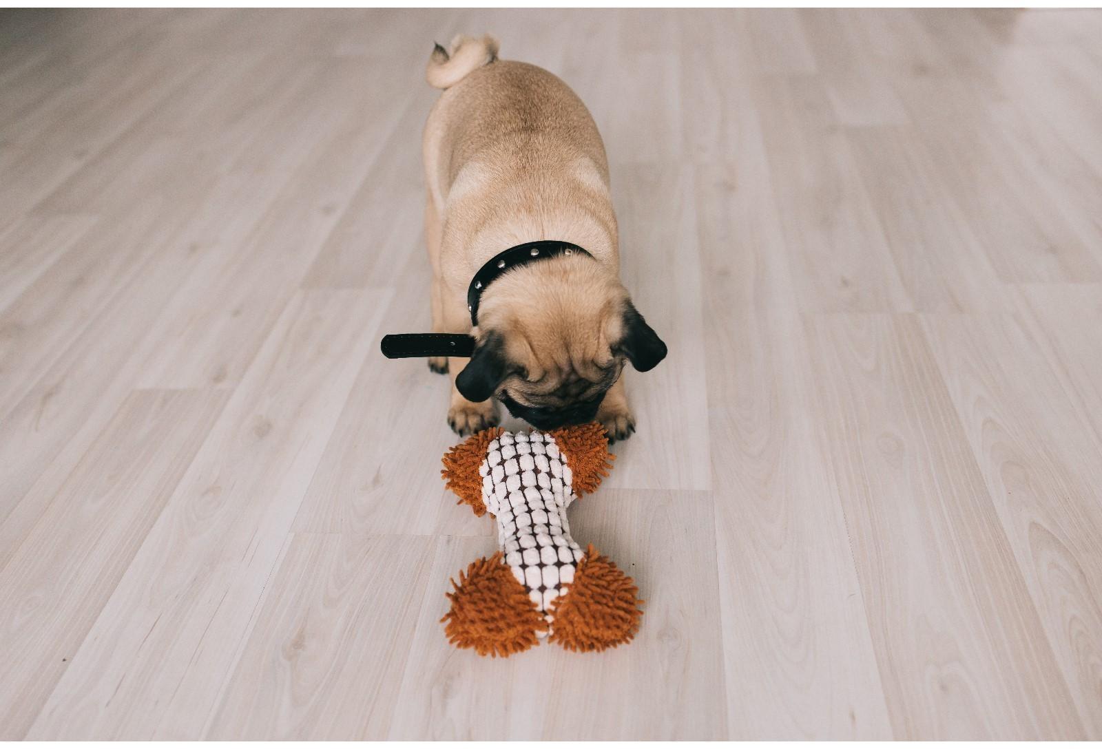 Игрушка мягкая для собак 