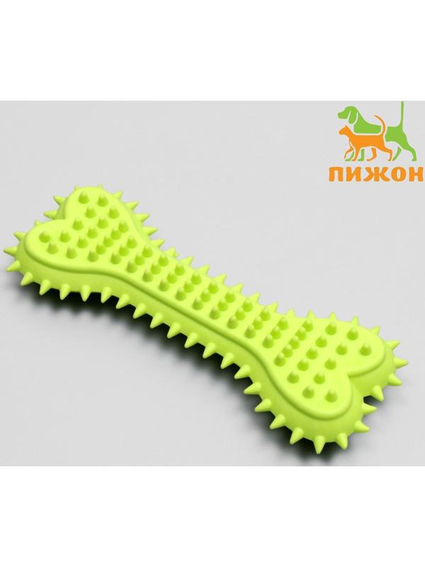 Игрушка жевательная литая 