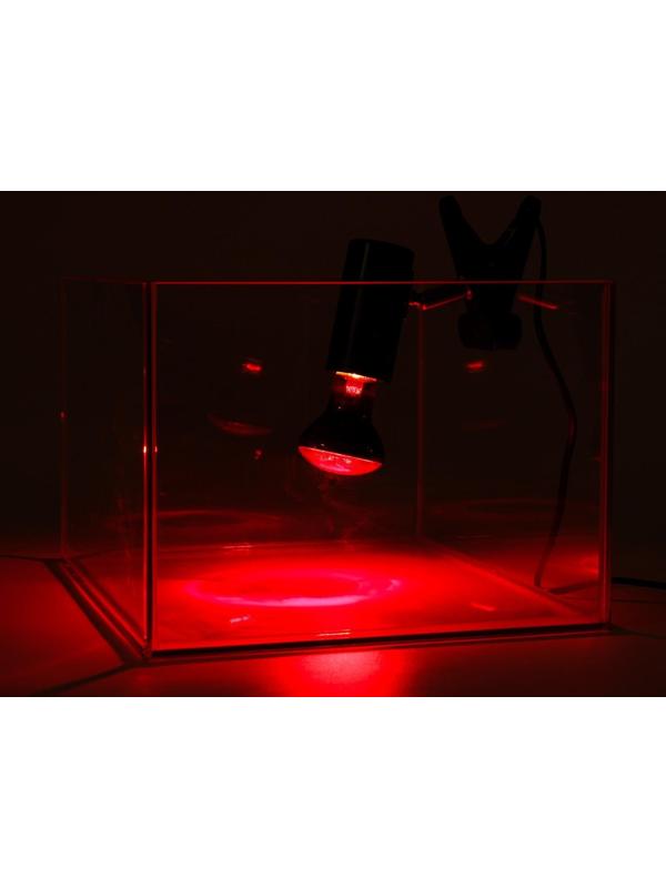 Светильник для террариума, со встроенным ручным регулятором яркости и переключателем света