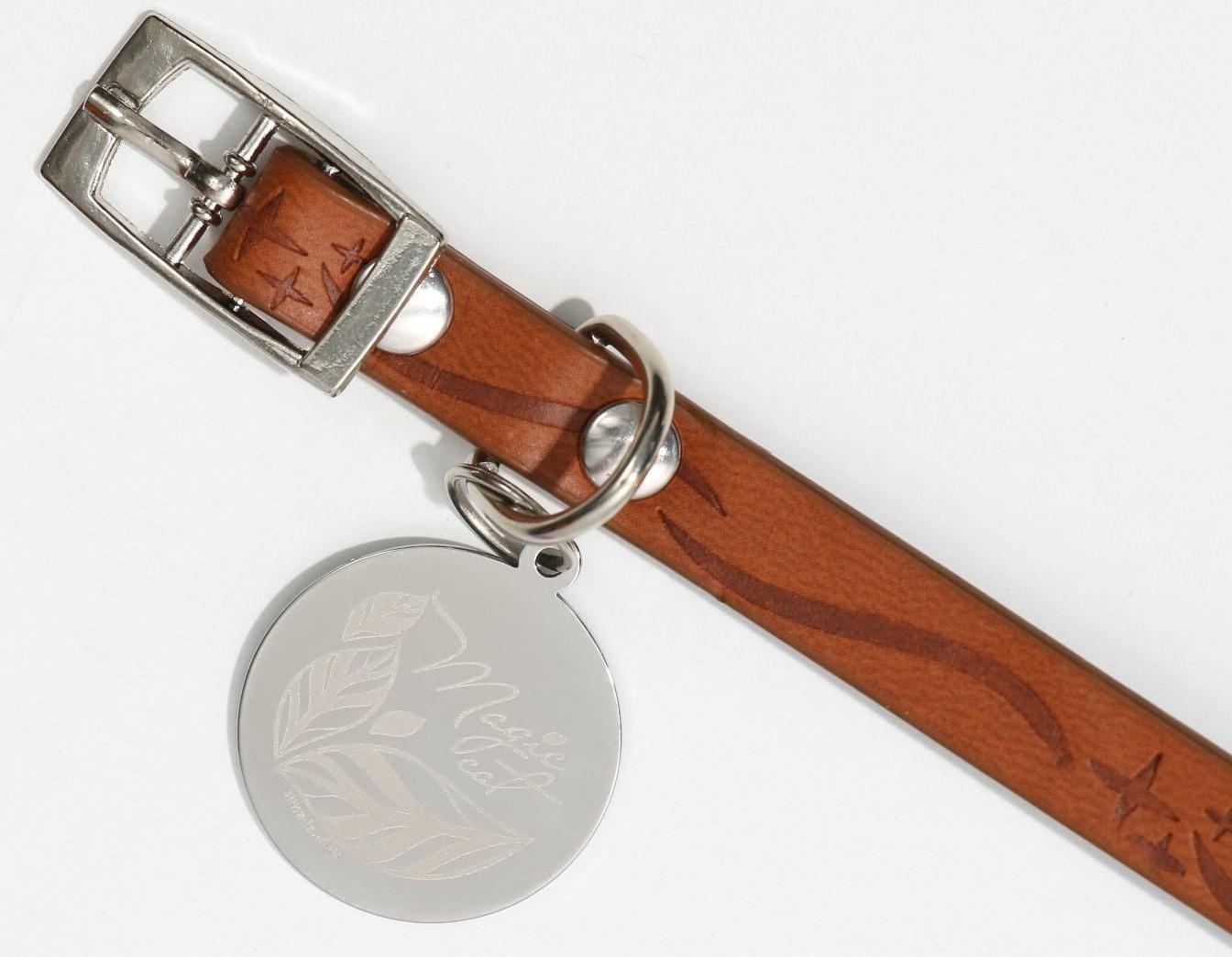 Ошейник с подвесом MAGIC CAT 31x1 см, коричневый