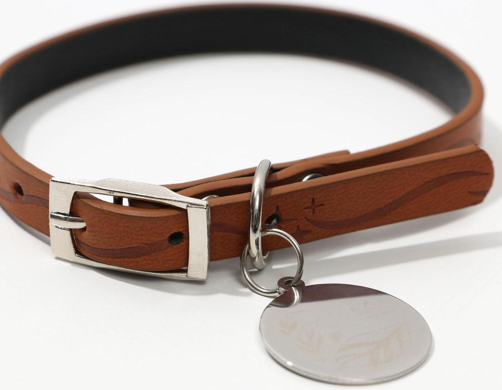 Ошейник с подвесом MAGIC CAT 31x1 см, коричневый