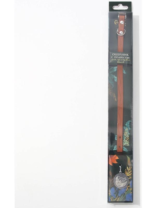 Ошейник с подвесом MAGIC CAT 31x1 см, коричневый