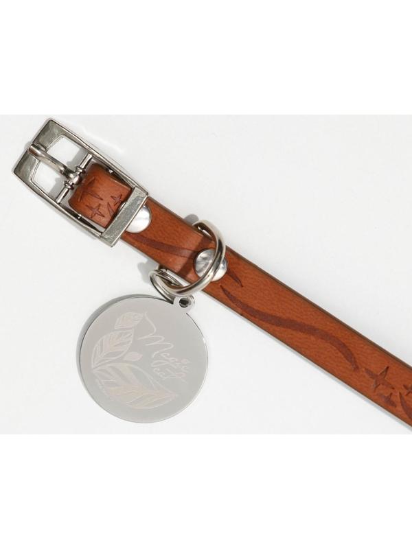 Ошейник с подвесом MAGIC CAT 31x1 см, коричневый