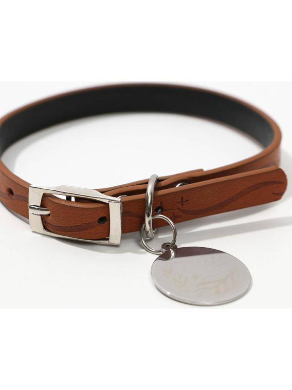 Ошейник с подвесом MAGIC CAT 31x1 см, коричневый