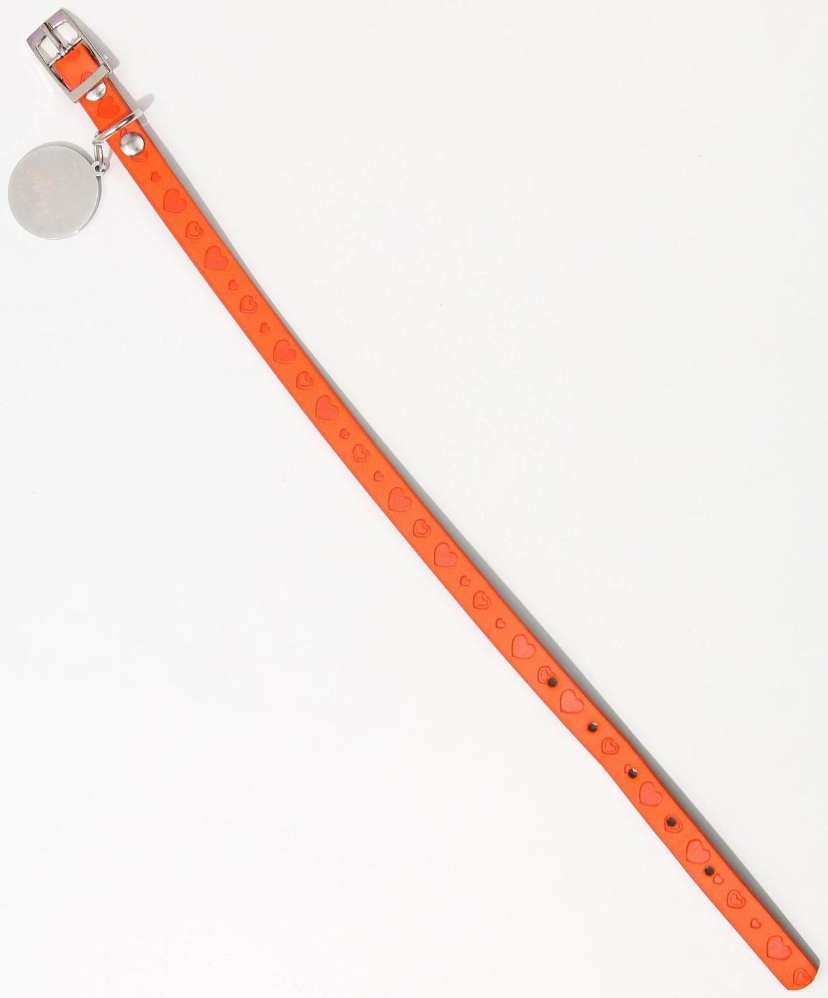 Ошейник с подвесом «Ты - мой МУР» 31x1 см, оранжевый