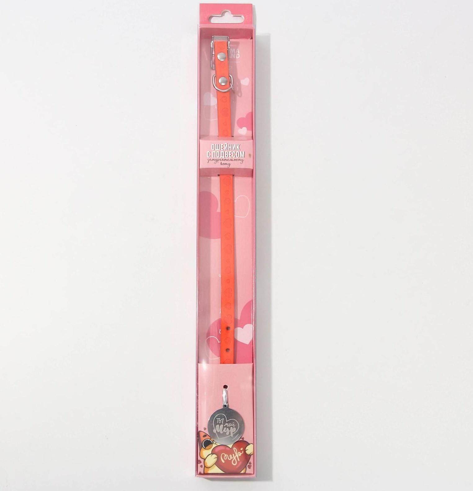 Ошейник с подвесом «Ты - мой МУР» 31x1 см, оранжевый