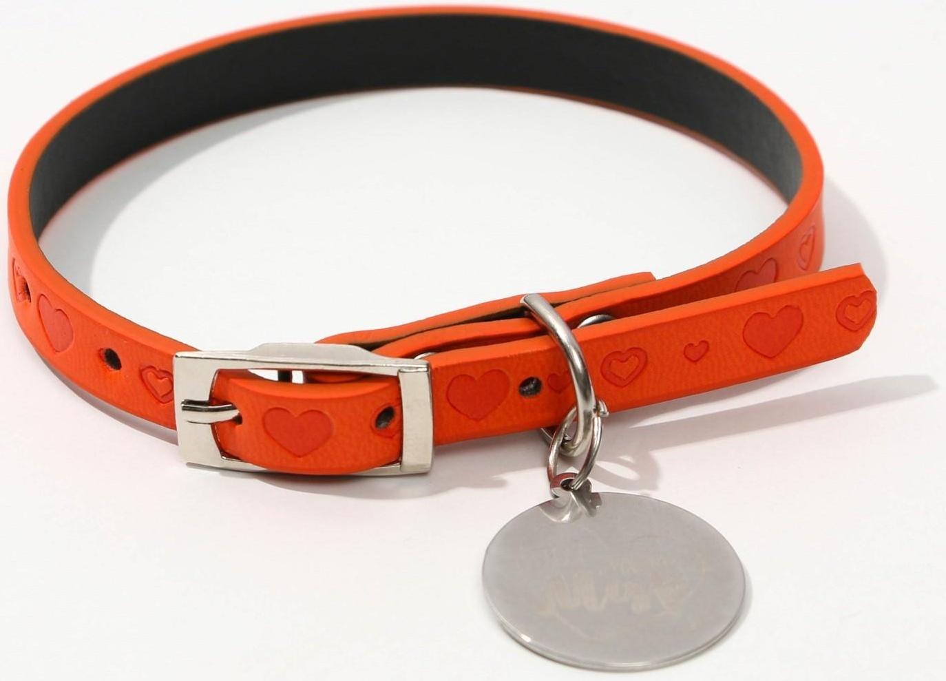 Ошейник с подвесом «Ты - мой МУР» 31x1 см, оранжевый