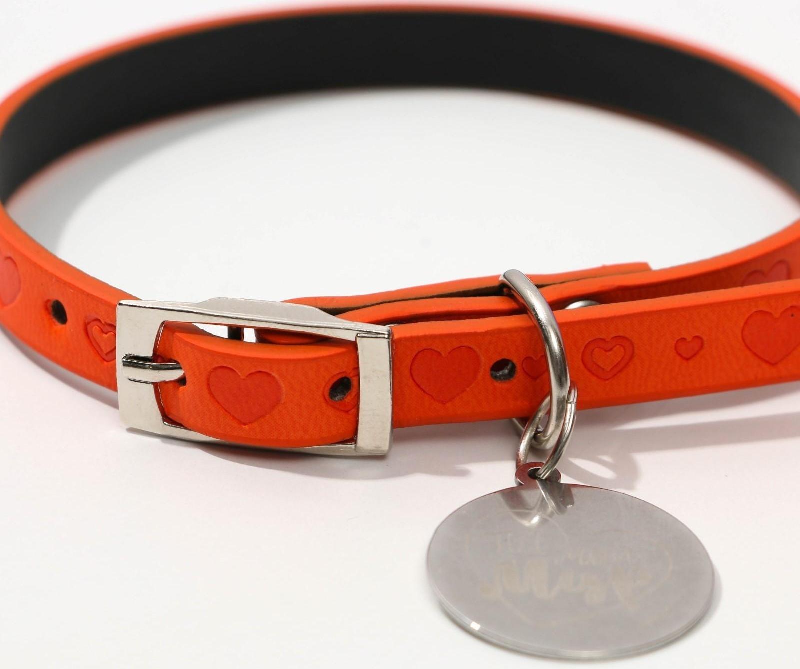 Ошейник с подвесом «Ты - мой МУР» 31x1 см, оранжевый