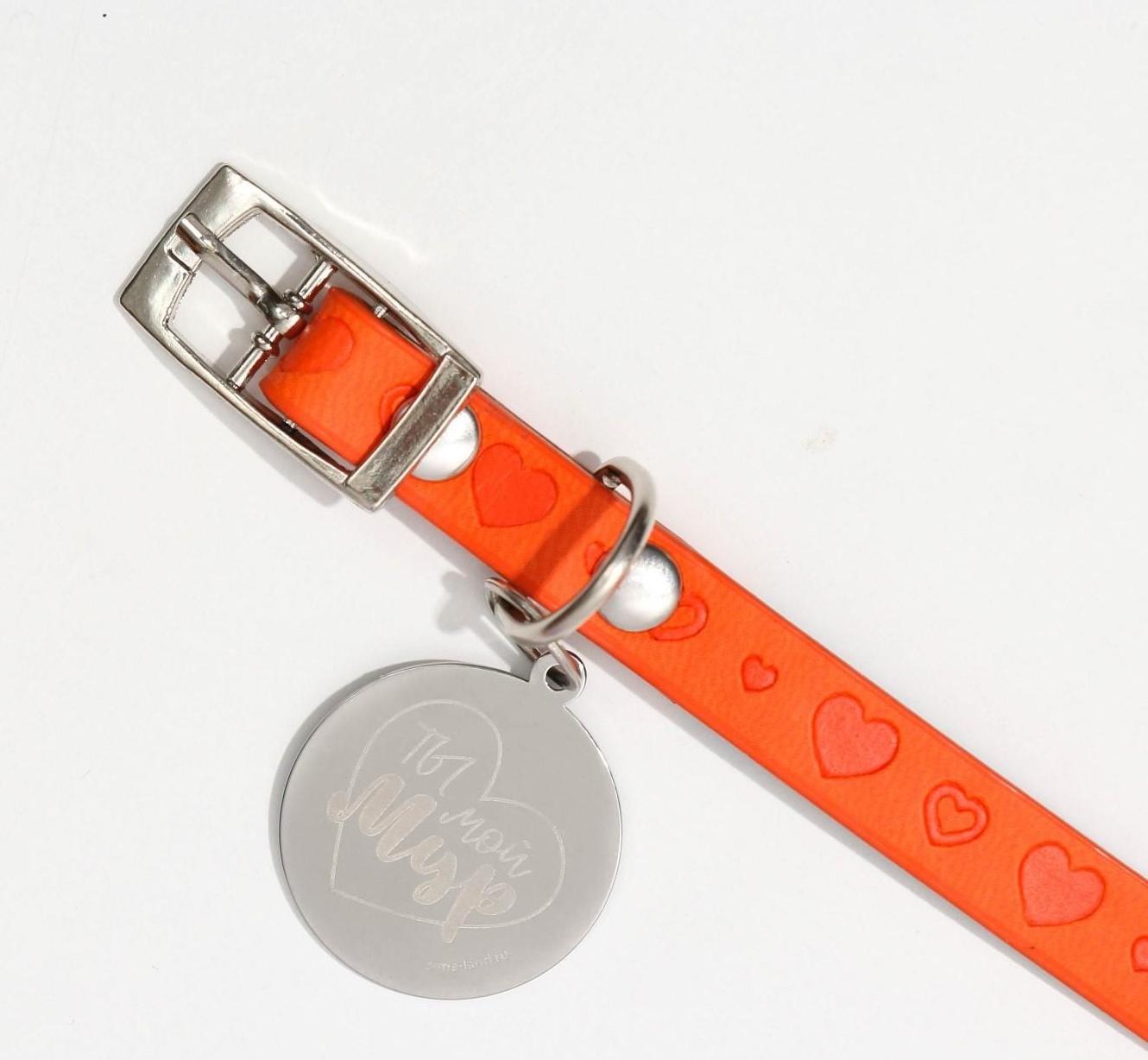 Ошейник с подвесом «Ты - мой МУР» 31x1 см, оранжевый