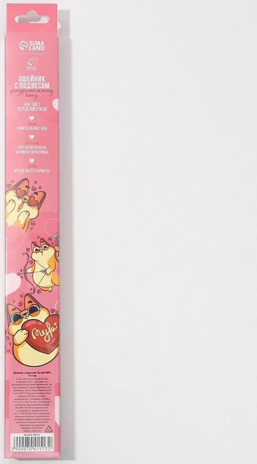 Ошейник с подвесом «Ты - мой МУР» 31x1 см, оранжевый