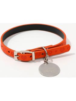 Ошейник с подвесом «Ты - мой МУР» 31x1 см, оранжевый