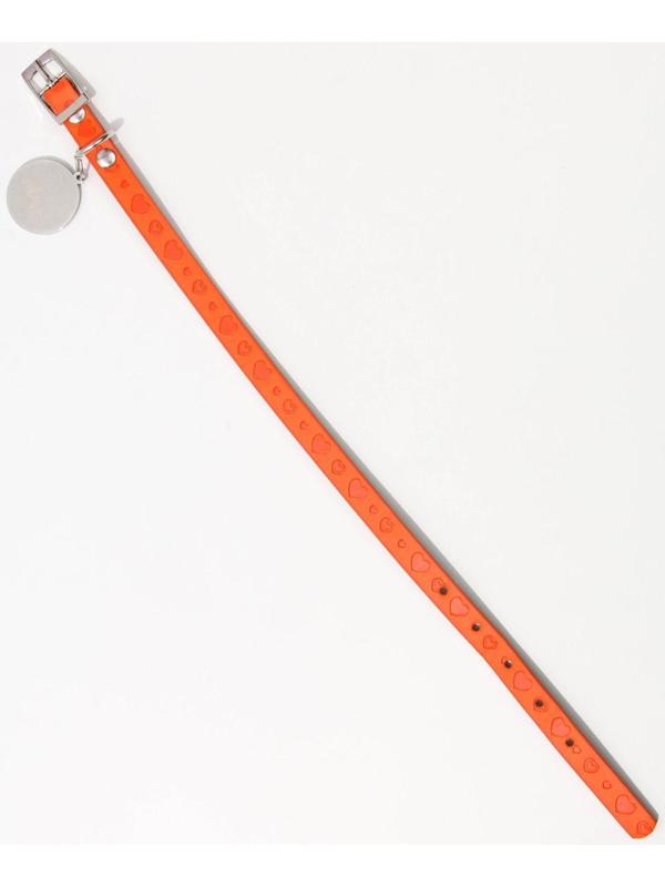 Ошейник с подвесом «Ты - мой МУР» 31x1 см, оранжевый