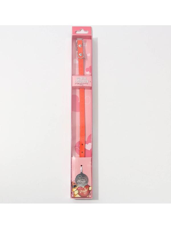 Ошейник с подвесом «Ты - мой МУР» 31x1 см, оранжевый