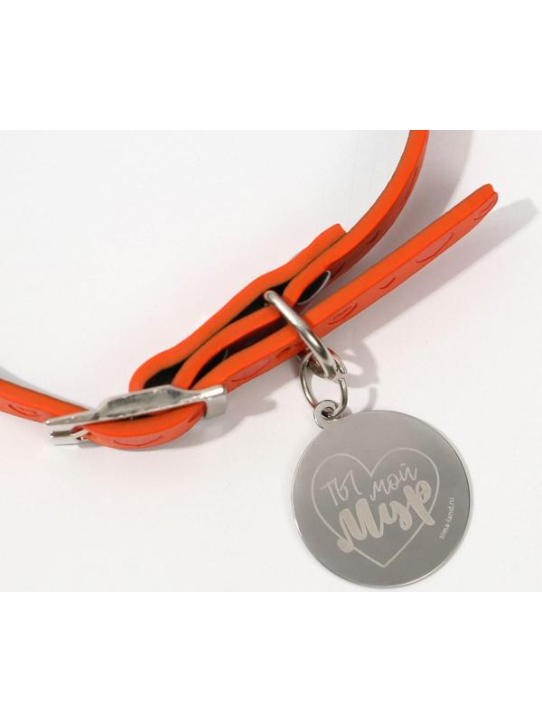 Ошейник с подвесом «Ты - мой МУР» 31x1 см, оранжевый