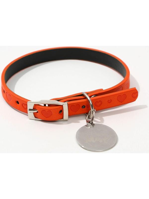 Ошейник с подвесом «Ты - мой МУР» 31x1 см, оранжевый