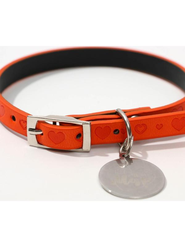 Ошейник с подвесом «Ты - мой МУР» 31x1 см, оранжевый
