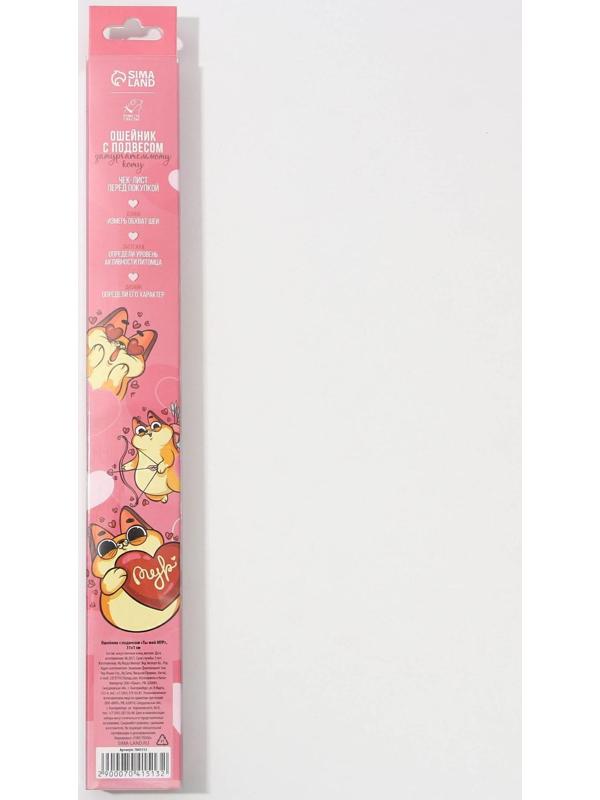 Ошейник с подвесом «Ты - мой МУР» 31x1 см, оранжевый