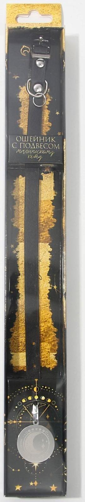 Ошейник с подвесом «Созвездие кошки» 31x1 см, чёрный