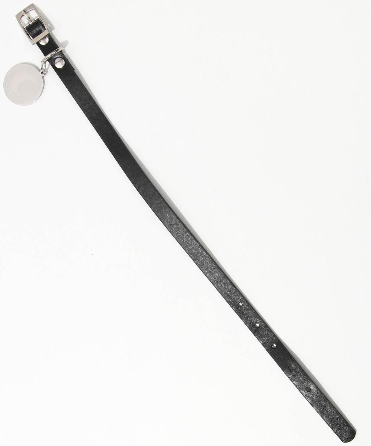 Ошейник с подвесом «Созвездие кошки» 31x1 см, чёрный