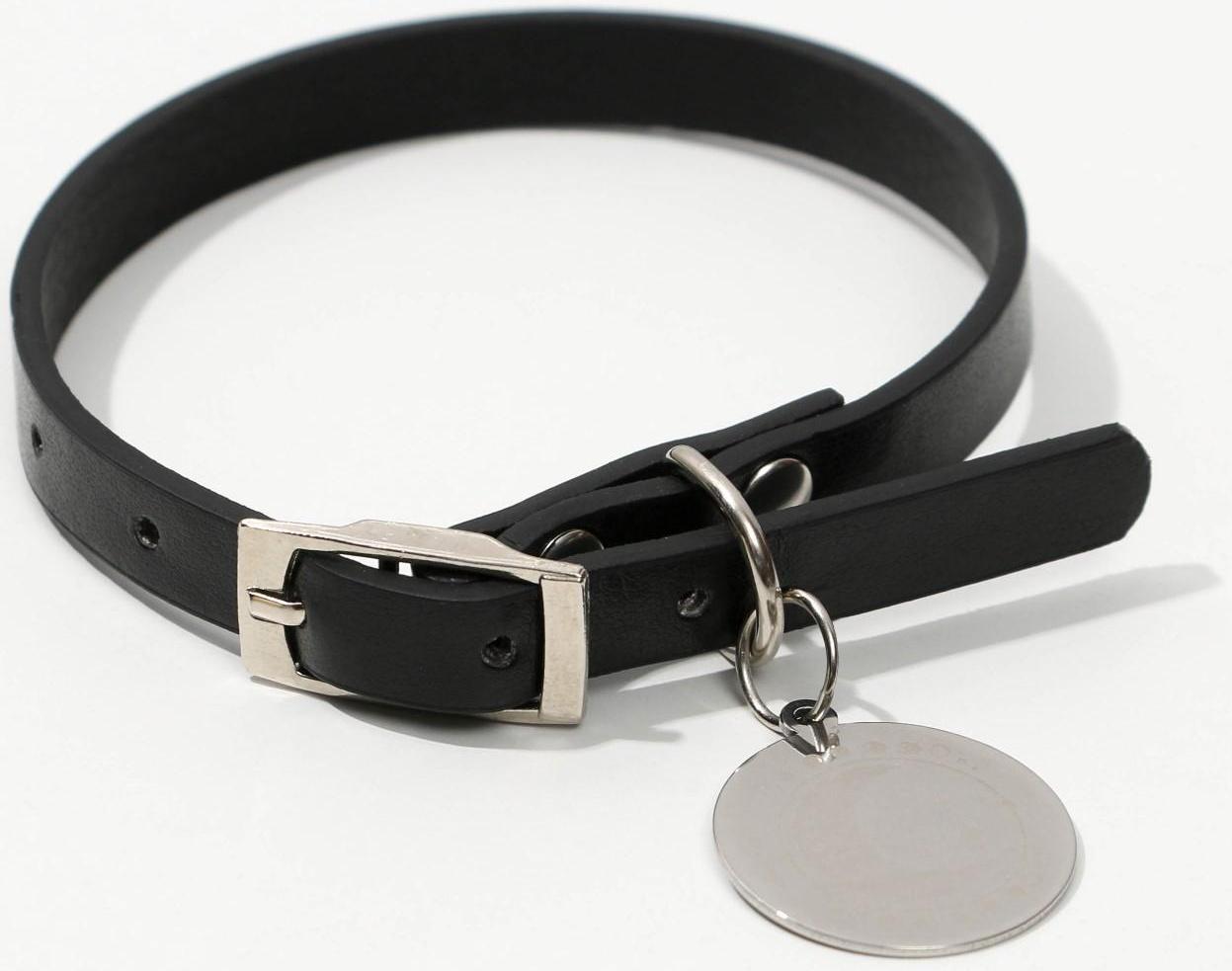 Ошейник с подвесом «Созвездие кошки» 31x1 см, чёрный