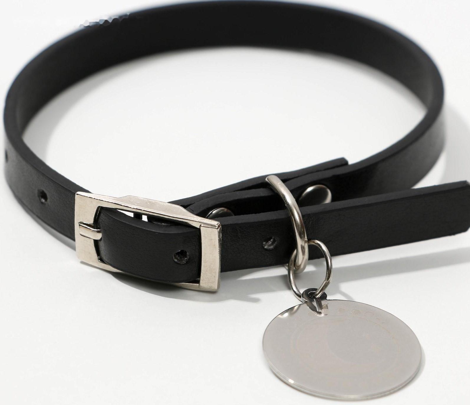 Ошейник с подвесом «Созвездие кошки» 31x1 см, чёрный