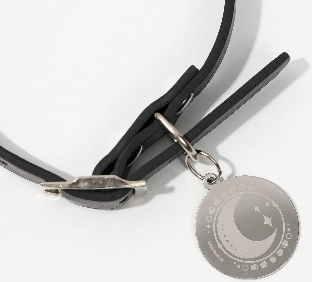 Ошейник с подвесом «Созвездие кошки» 31x1 см, чёрный