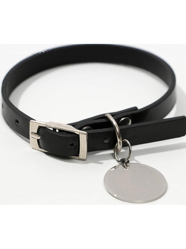 Ошейник с подвесом «Созвездие кошки» 31x1 см, чёрный