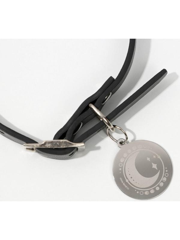 Ошейник с подвесом «Созвездие кошки» 31x1 см, чёрный